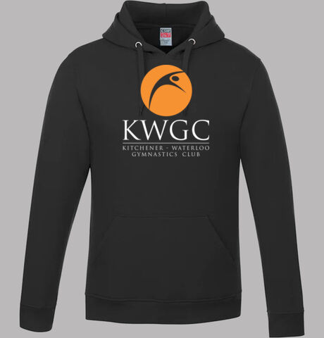 L00550 - Vault - Pullover Hooded Sweatshirt Thumbnail