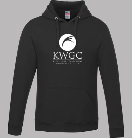 L00550 Vault - Pullover Hooded Sweatshirt Thumbnail